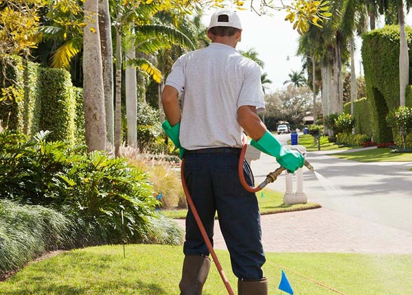 About Neversink NY Pest Control